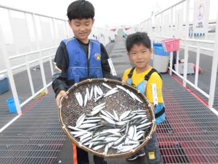 尼崎市立魚つり公園 釣果