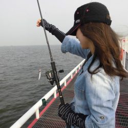 尼崎市立魚つり公園 釣果