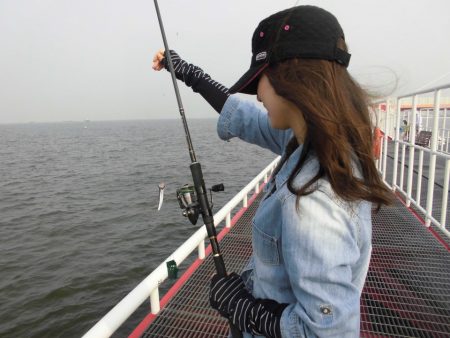 尼崎市立魚つり公園 釣果