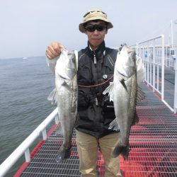 尼崎市立魚つり公園 釣果