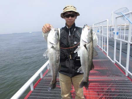 尼崎市立魚つり公園 釣果