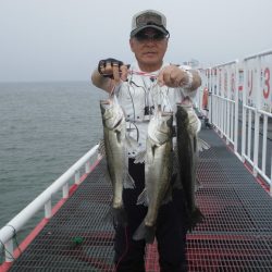 尼崎市立魚つり公園 釣果