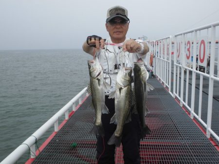 尼崎市立魚つり公園 釣果