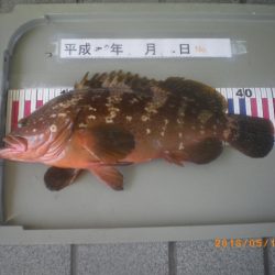 姫路市立遊魚センター 釣果