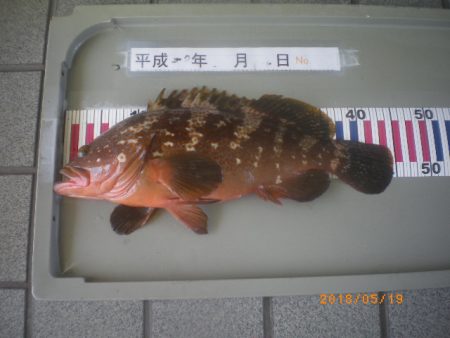 姫路市立遊魚センター 釣果