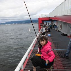 尼崎市立魚つり公園 釣果