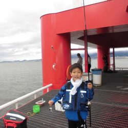 尼崎市立魚つり公園 釣果