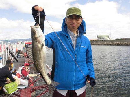 尼崎市立魚つり公園 釣果