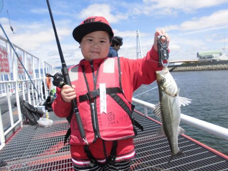 尼崎市立魚つり公園 釣果