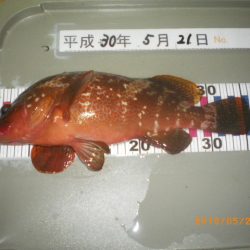 姫路市立遊魚センター 釣果