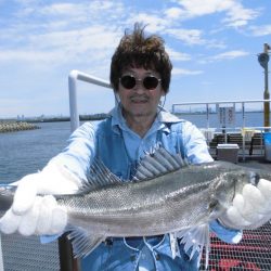 尼崎市立魚つり公園 釣果