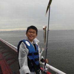 尼崎市立魚つり公園 釣果