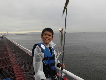 尼崎市立魚つり公園 釣果