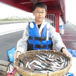 尼崎市立魚つり公園 釣果