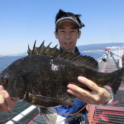 尼崎市立魚つり公園 釣果