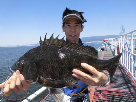 尼崎市立魚つり公園 釣果