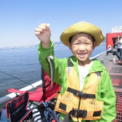 尼崎市立魚つり公園 釣果