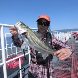 尼崎市立魚つり公園 釣果