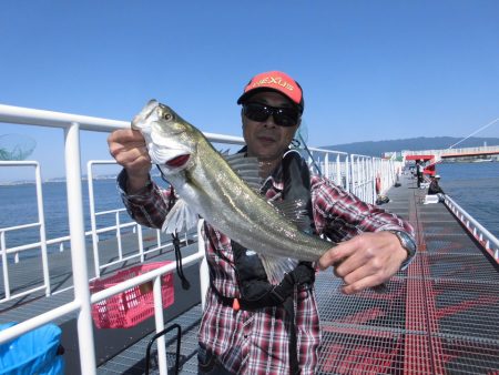 尼崎市立魚つり公園 釣果