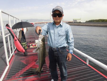 尼崎市立魚つり公園 釣果