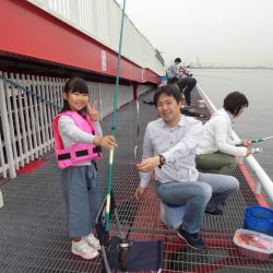 尼崎市立魚つり公園 釣果