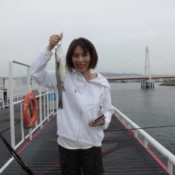 尼崎市立魚つり公園 釣果