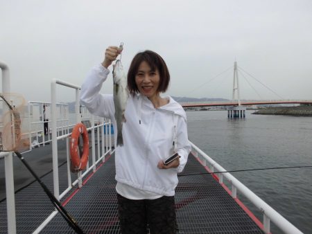 尼崎市立魚つり公園 釣果