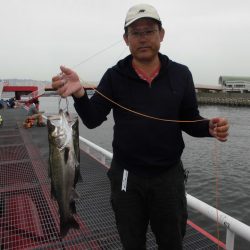 尼崎市立魚つり公園 釣果