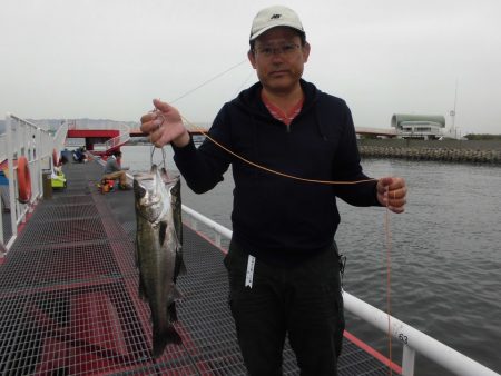 尼崎市立魚つり公園 釣果