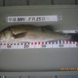 姫路市立遊魚センター 釣果