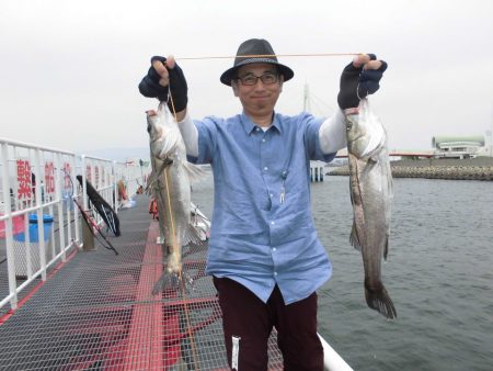 尼崎市立魚つり公園 釣果