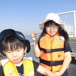 尼崎市立魚つり公園 釣果