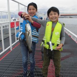 尼崎市立魚つり公園 釣果