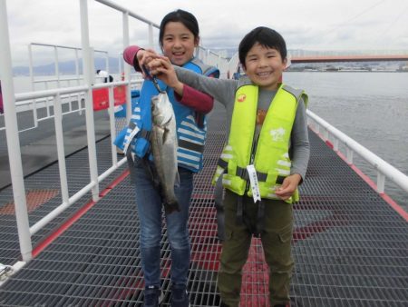 尼崎市立魚つり公園 釣果