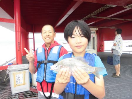 尼崎市立魚つり公園 釣果