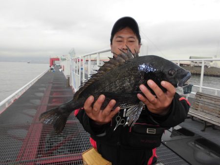 尼崎市立魚つり公園 釣果