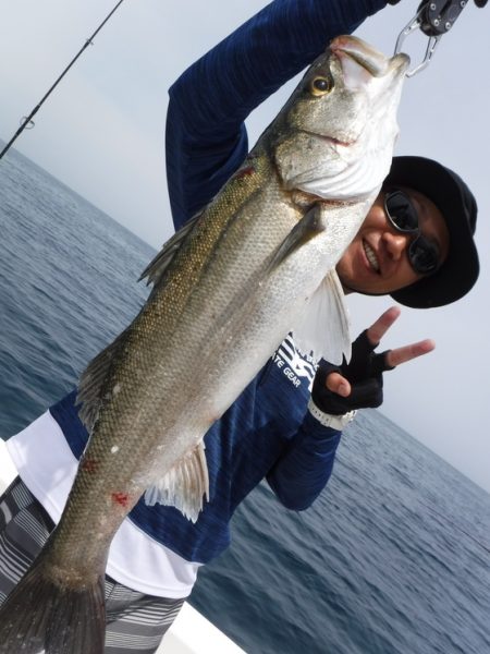 ＢｌｕｅＮｏｔｅ　Ｆｉｓｈｉｎｇ　Ｔａｘｉ…