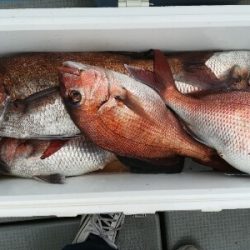 IDATEN(イダテン) 釣果