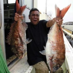 大進丸(新潟) 釣果