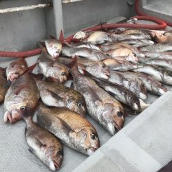 寿裕 （YOSHIHIRO） 釣果