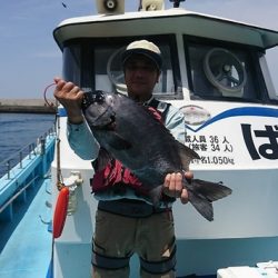 しば渡船 釣果