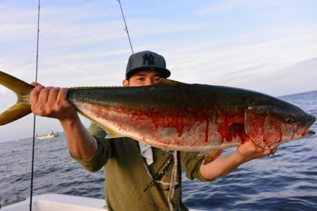 ジギング船 BLUEWATER 釣果