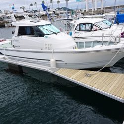 フィッシングボートACE(エース) 釣果