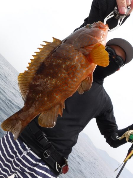 ＢｌｕｅＮｏｔｅ　Ｆｉｓｈｉｎｇ　Ｔａｘｉ 釣果