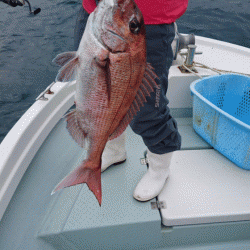 遊漁船ブルーウッズ 釣果