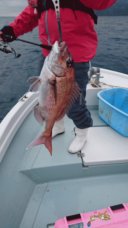 遊漁船ブルーウッズ 釣果
