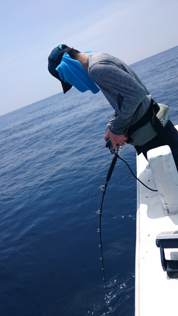 海晴丸 釣果
