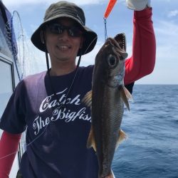 へいみつ丸 釣果