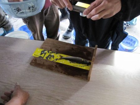 狩野川（狩野川漁業協同組合） 釣果