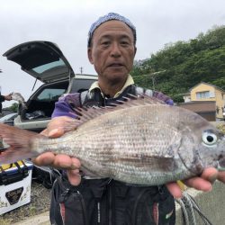 由良渡船 釣果